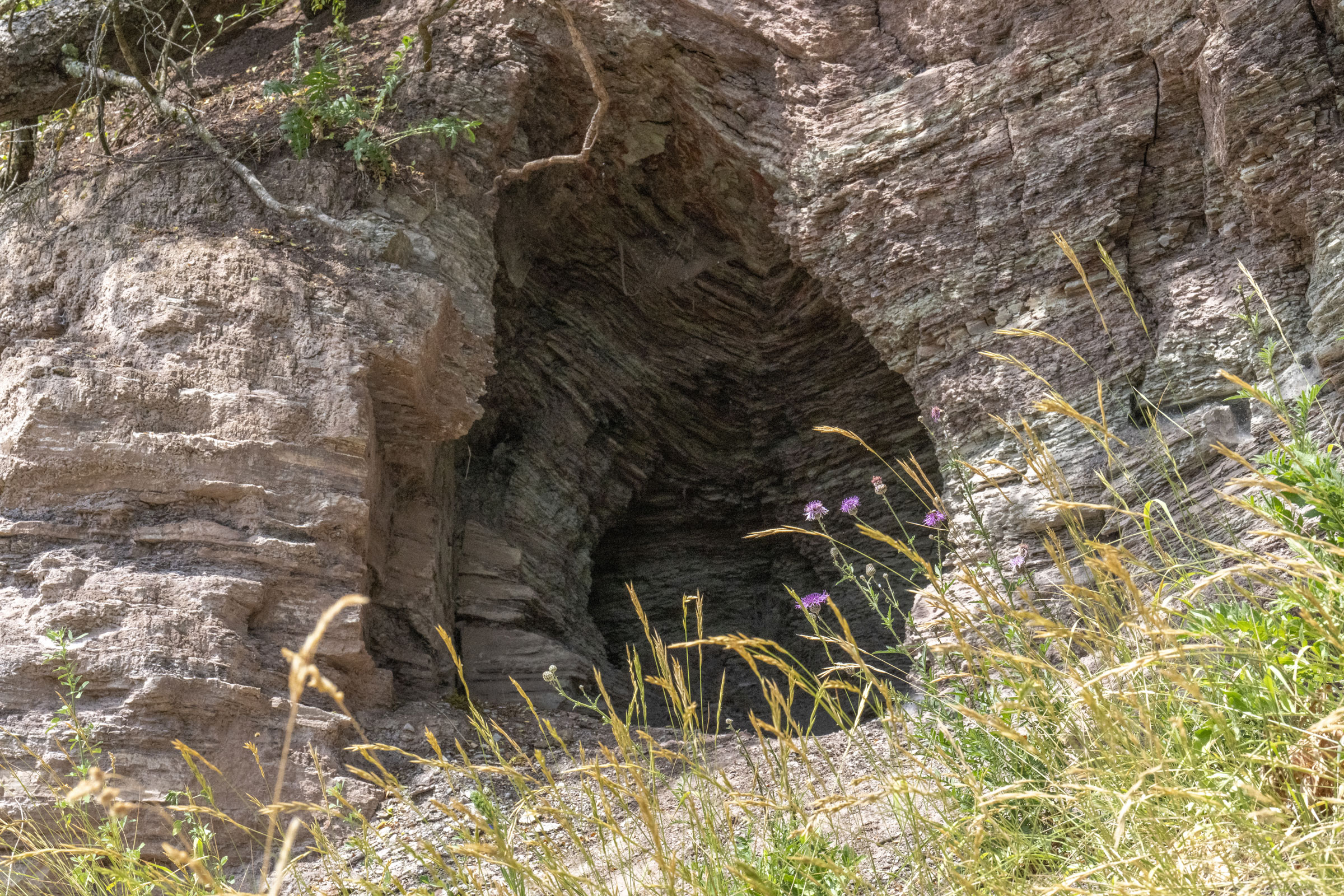 gss-gips-schuele-stiftung-ammerbuch-2023-03